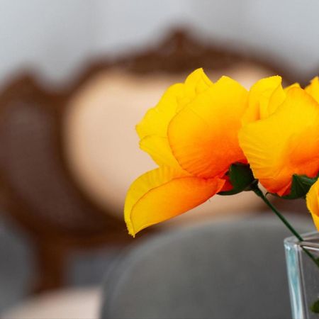 Summer Cottage Sinarádes Екстериор снимка