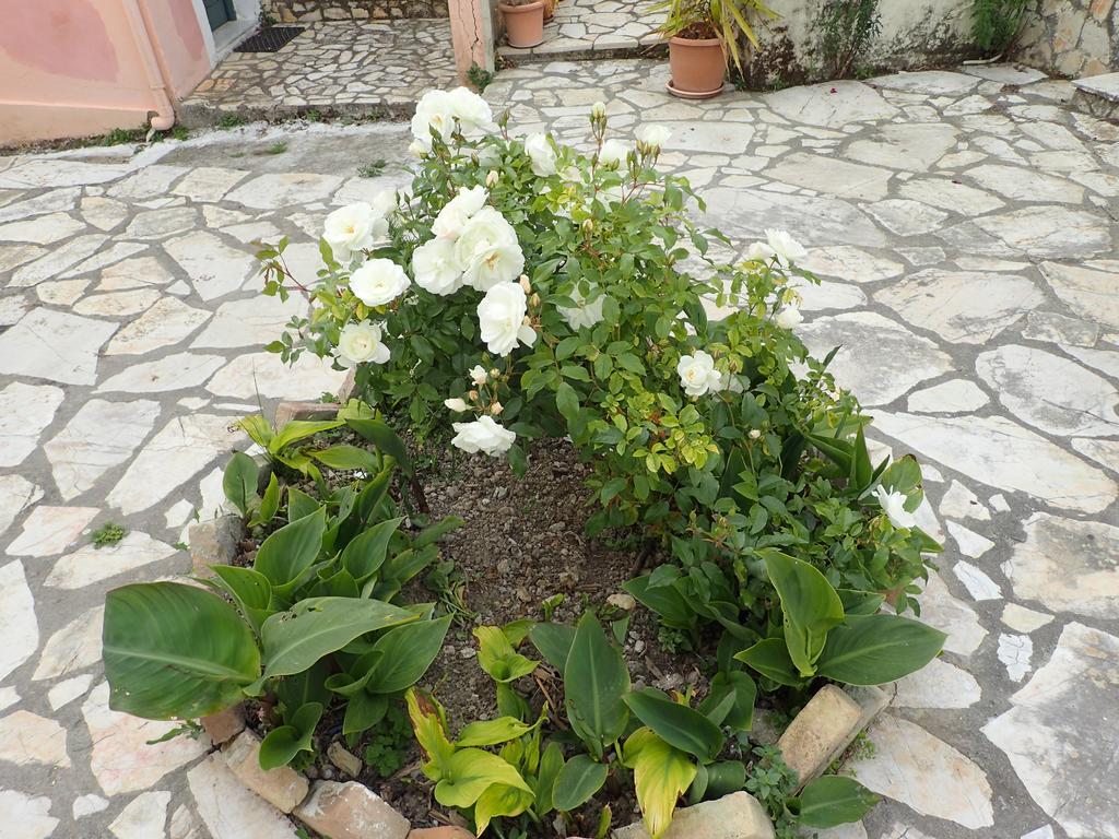 Summer Cottage Sinarádes Екстериор снимка